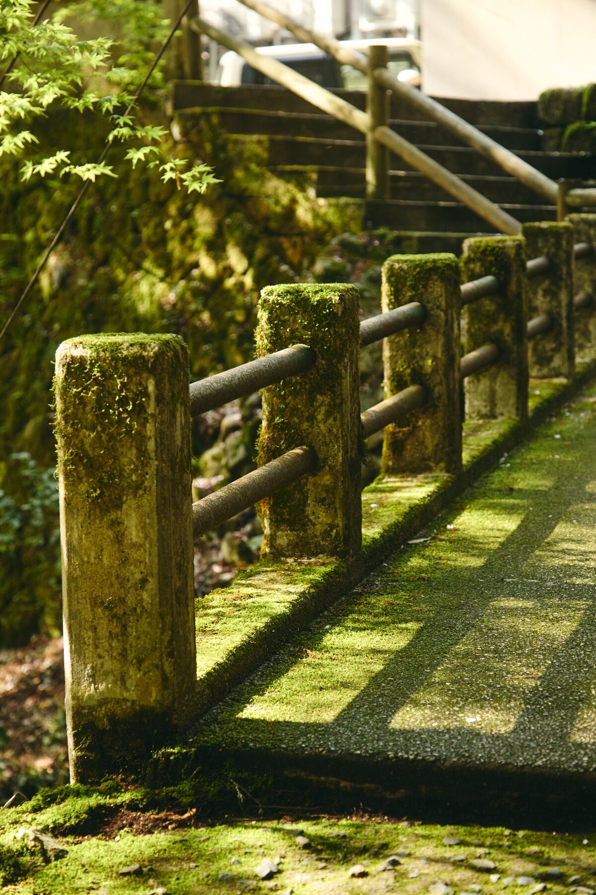 山中温泉の森の小径 / A forest path in Yamanaka Onsen